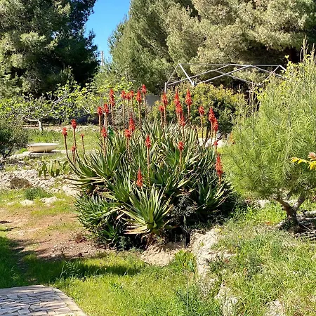 Secret Garden No. 1 Chalet